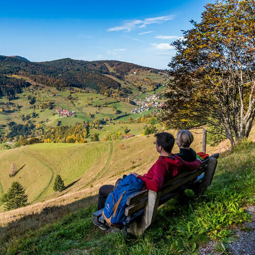 Ein Wanderpaar geniet sitzend auf einer Bank die Aussicht vom Wiedener Panoramaweg auf das Wiedener Tal. 