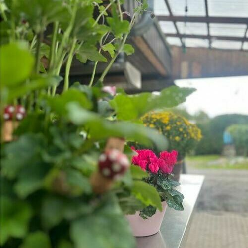 Wohlfhl-Atmosphre ist uns wichtig