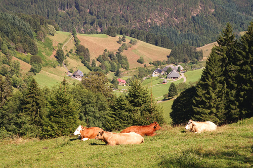 Vielseitig und artenreich: ein Querschnitt durch ein einzigartiges Naturschutzgebiet
