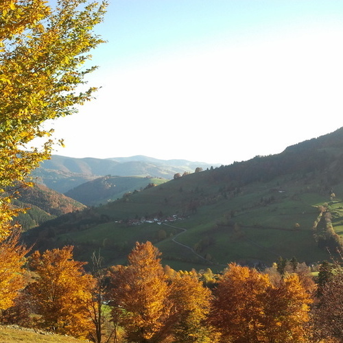 Panoramablick vom Haus - Panoramablick vom Haus -