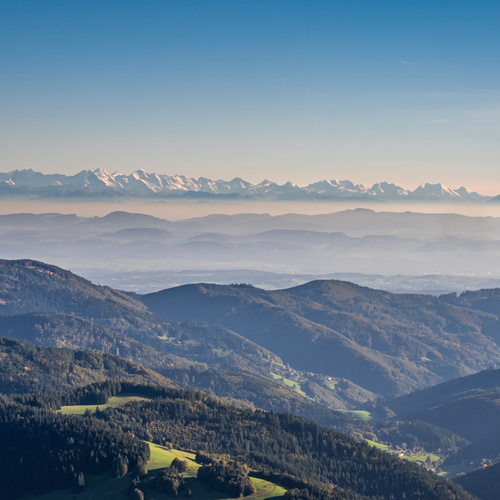 Blick vom Belchen mit Alpensicht - Blick vom Belchen mit Alpensicht -
