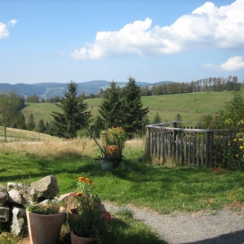 Gisibodenalm - Gisibodenalm -