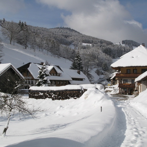 Winter bei uns vorm Haus mit Wanderweg - Winter bei uns vorm Haus mit Wanderweg -