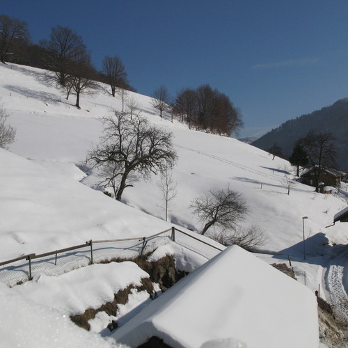 Winteraussicht vom Haus auf verschneiten Hang - Winteraussicht vom Haus auf verschneiten Hang -