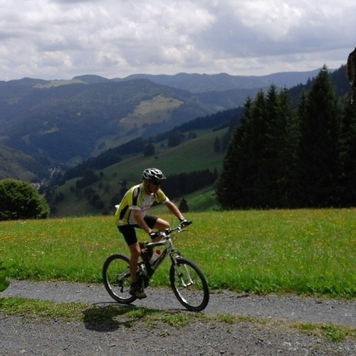 Mountainbiker in der grünen Sommerlandschaft - Mountainbiker in der grünen Sommerlandschaft -