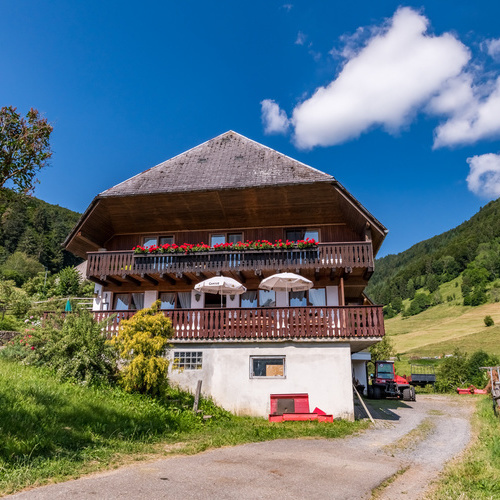 Außenansicht von der Rückseite des Hauses - Außenansicht von der Rückseite des Hauses -