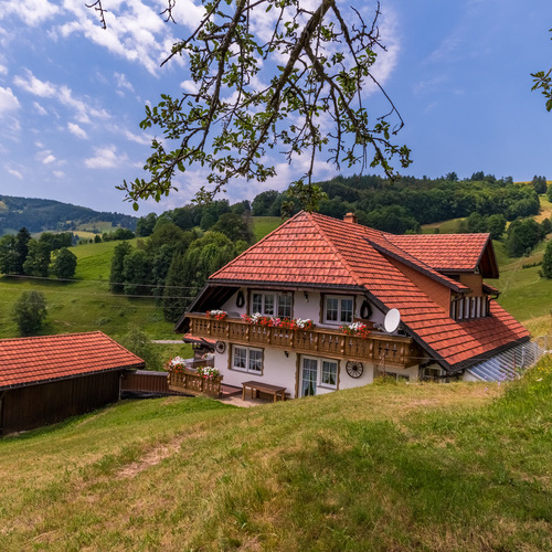 Blick auf das Haus Alpensicht umgeben von grünen Wiesen - Blick auf das Haus Alpensicht umgeben von grünen Wiesen -