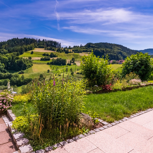 Blick auf die nähere Umgebung mit grünen Wiesen und Wäldern - Blick auf die nähere Umgebung mit grünen Wiesen und Wäldern -