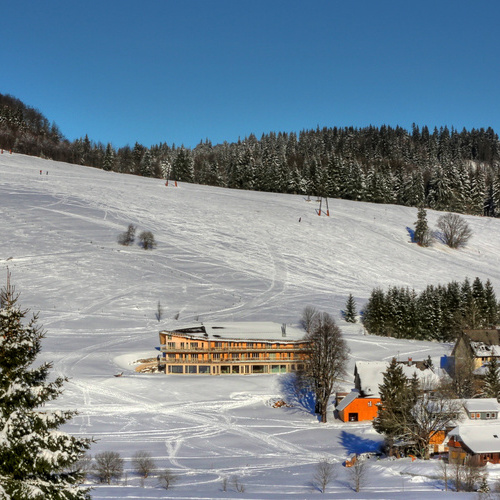 naturErlebnis derWaldfrieden naturparkhotel - naturErlebnis derWaldfrieden naturparkhotel -