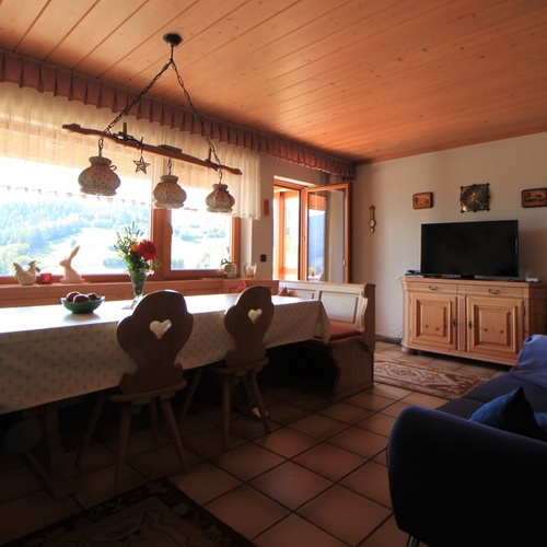 Wohnzimmer mit großem Esstisch, Couch, TV und beheizbarer Ofenbank - Wohnzimmer mit großem Esstisch, Couch, TV und beheizbarer Ofenbank -