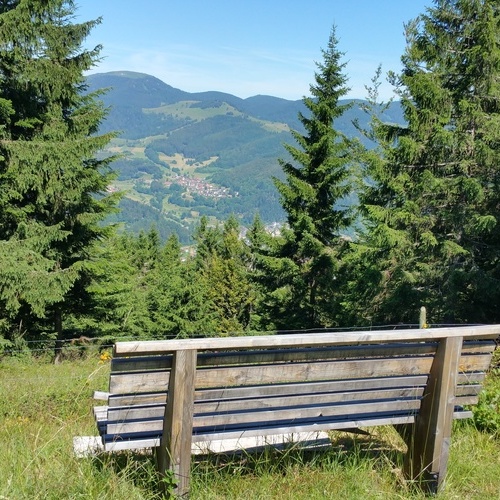 Blick auf Schönenberg - Blick auf Schönenberg -