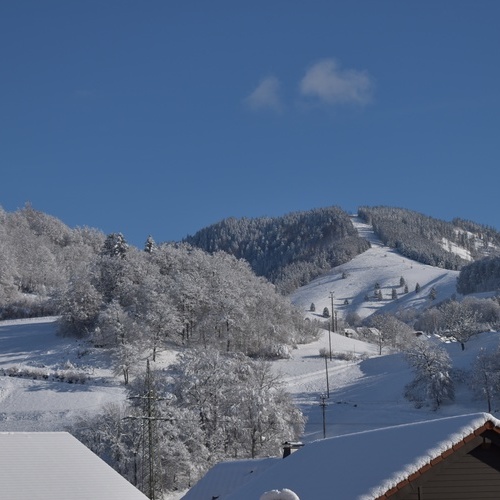 Blick auf die verschneiten Wiesen und Wälder - Blick auf die verschneiten Wiesen und Wälder -
