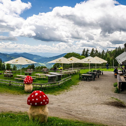 Terrasse des Almgasthauses mit Tischen, Bänken und Sonnenschirmen - Terrasse des Almgasthauses mit Tischen, Bänken und Sonnenschirmen -