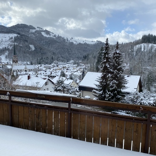 Blick vom Balkon auf die verschneite Landschaft und Schönau - Blick vom Balkon auf die verschneite Landschaft und Schönau -