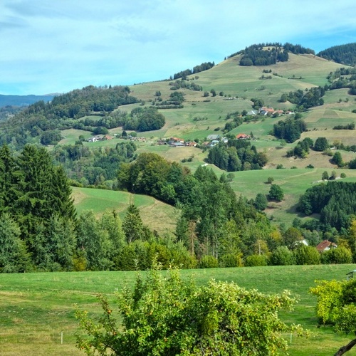 Landschaft - Landschaft -