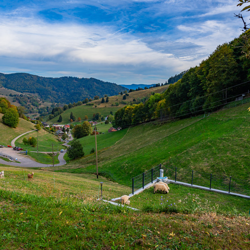 Ausblick vom Eckhof - Ausblick vom Eckhof -